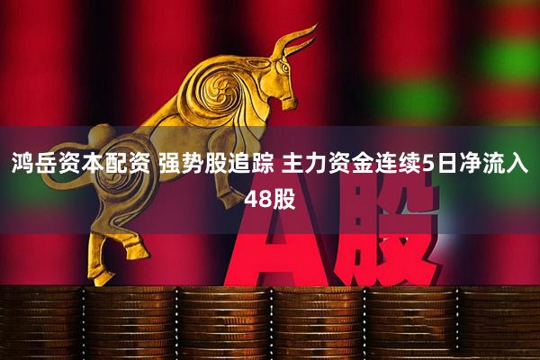 鸿岳资本配资 强势股追踪 主力资金连续5日净流入48股