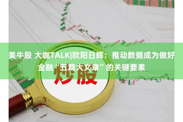 美牛股 大咖TALK|欧阳日辉：推动数据成为做好金融“五篇大文章”的关键要素