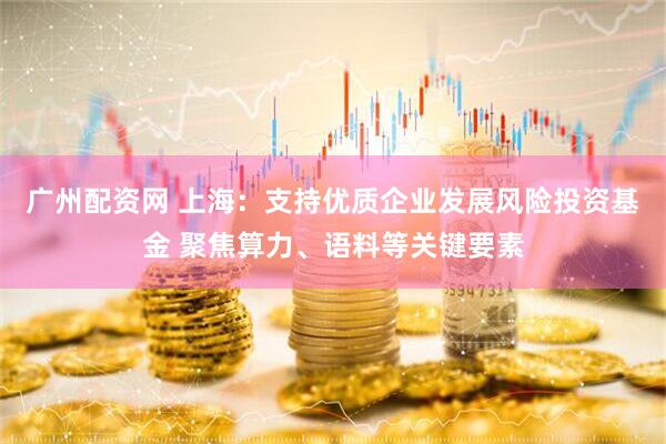 广州配资网 上海：支持优质企业发展风险投资基金 聚焦算力、语料等关键要素