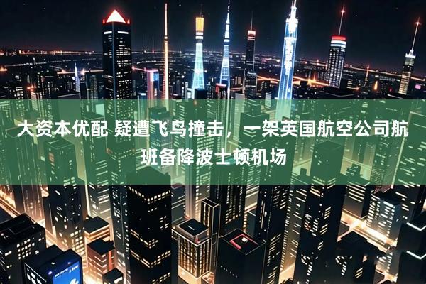 大资本优配 疑遭飞鸟撞击，一架英国航空公司航班备降波士顿机场