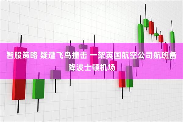 智股策略 疑遭飞鸟撞击 一架英国航空公司航班备降波士顿机场