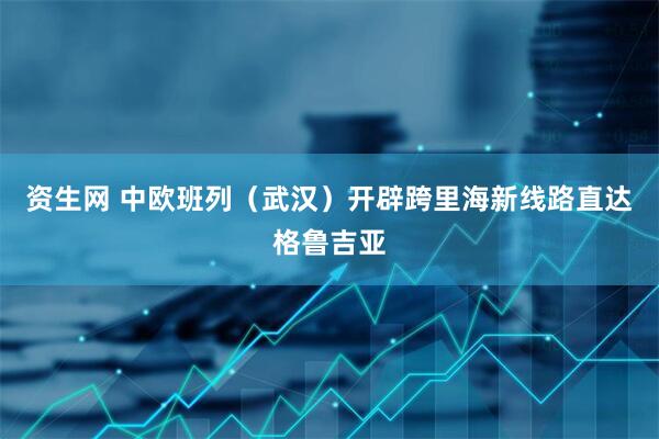 资生网 中欧班列（武汉）开辟跨里海新线路直达格鲁吉亚